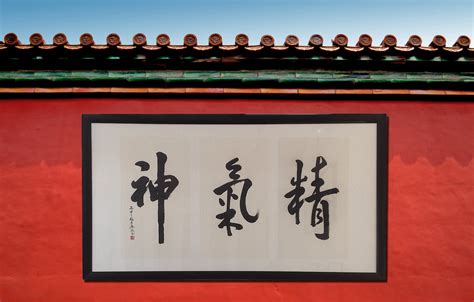 精氣神三寶|精氣神(哲學與醫學解釋):書法,哲學,醫學,道學,什麼是精…